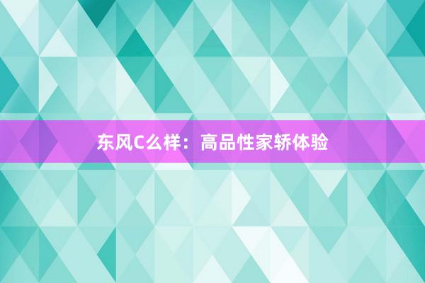 东风C么样：高品性家轿体验